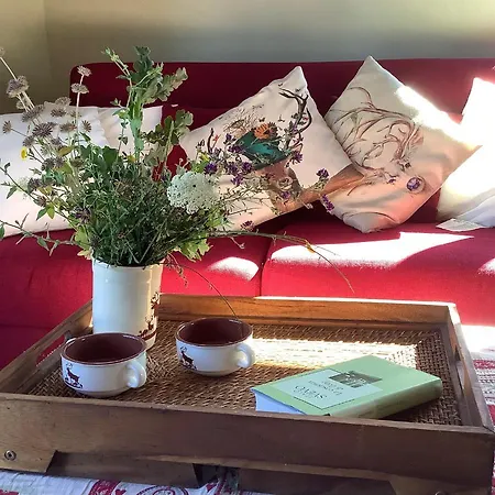 Dom wakacyjny La Cerbiatta