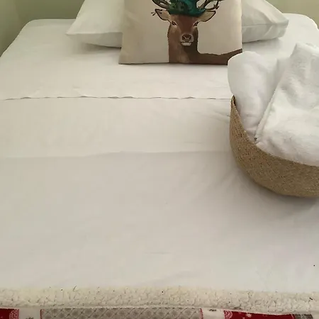 Casa vacanze La Cerbiatta *