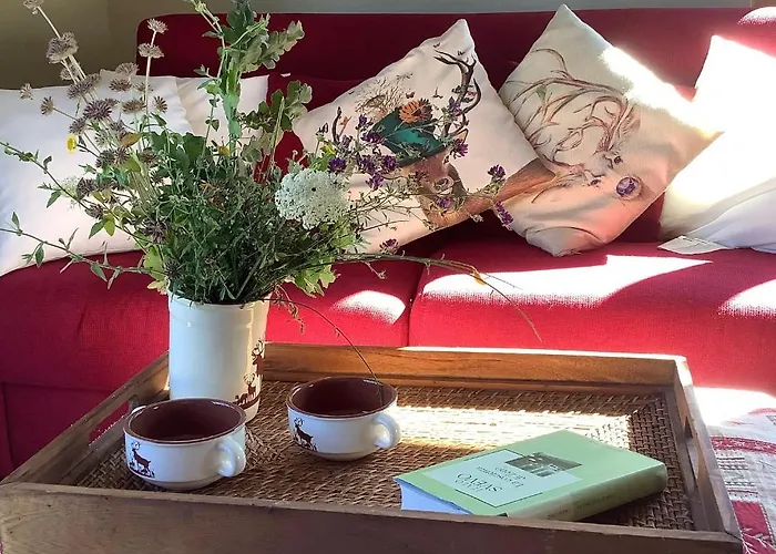 Dom wakacyjny La Cerbiatta